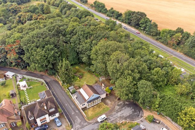 Thumbnail Detached bungalow for sale in Mount Drive, St. Albans