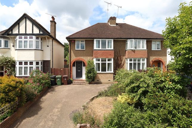 Thumbnail Semi-detached house to rent in Gurney Court Road, St. Albans, Hertfordshire
