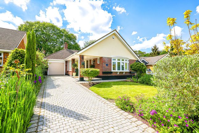 Thumbnail Detached bungalow for sale in Woodland Close, Benfleet