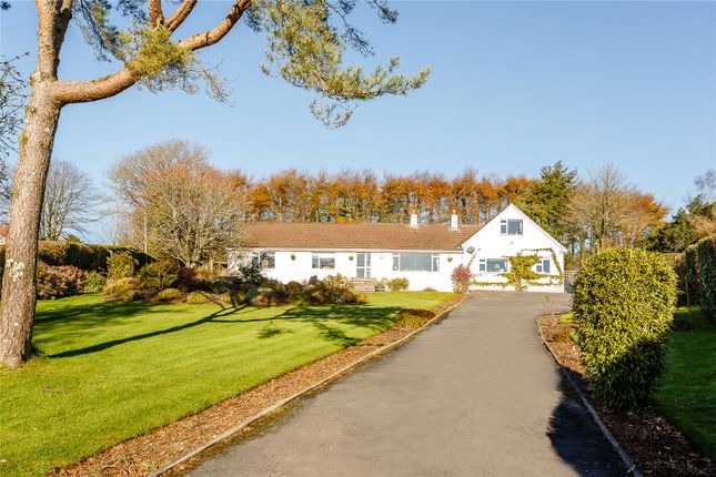 Devon bungalows for sale | Buy houses in Devon | PrimeLocation