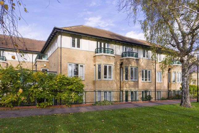 Cam00227P1-Pr0364-Still08