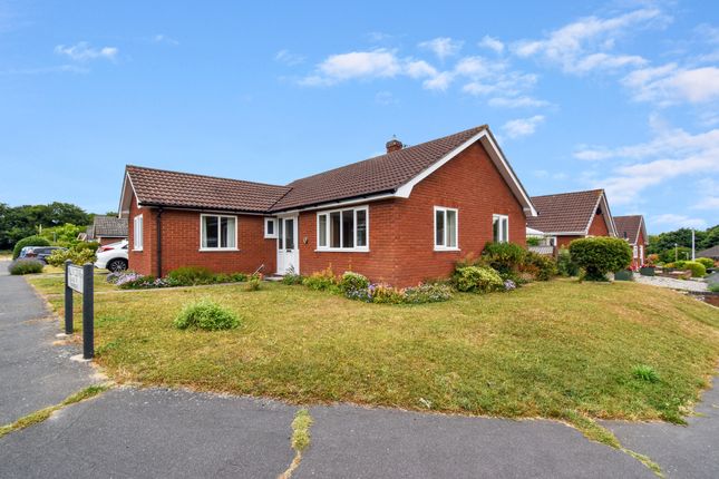 2 bed detached bungalow to rent in Willow Grove, Sheringham NR26