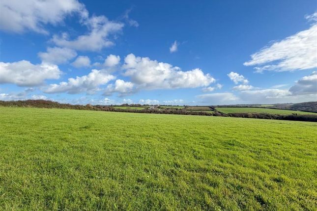 Marne Barne, -, Helston photo 5