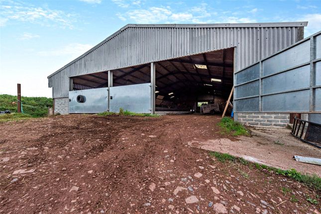 Feed Livestock Shed