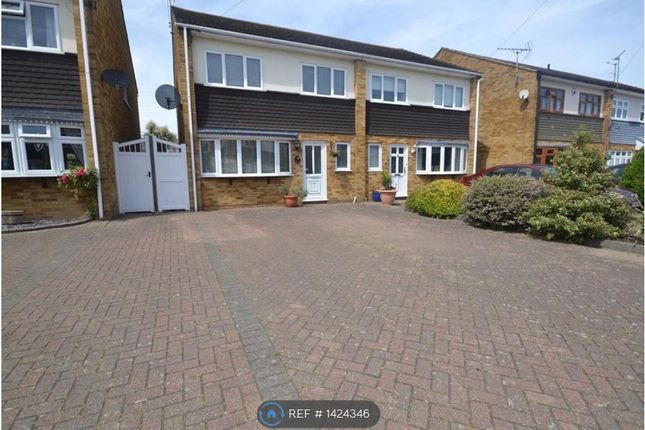 Semi-detached house to rent in Hampshire Gardens, Linford, Stanford-Le-Hope
