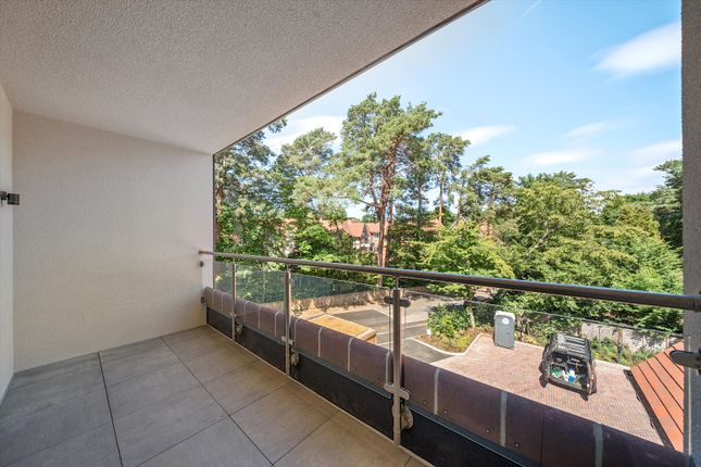 Ashbourne House, Woking photo 4
