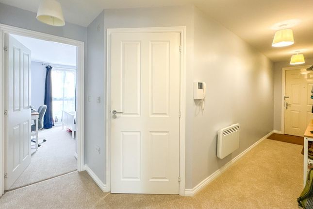 Paxton Drive, Bristol photo 5