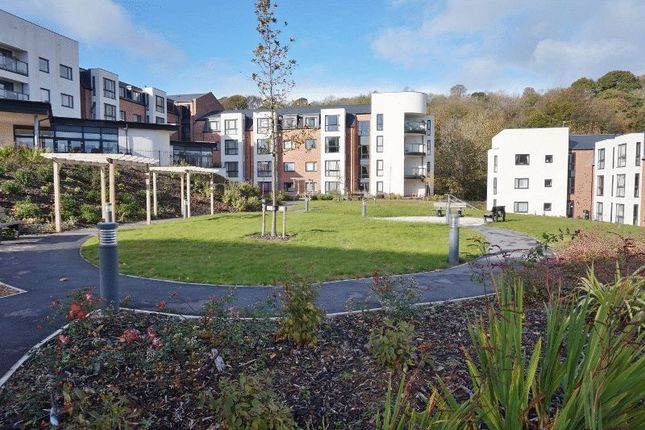 Homes For Sale In Hayes Road Paignton Tq4 Buy Property In Hayes