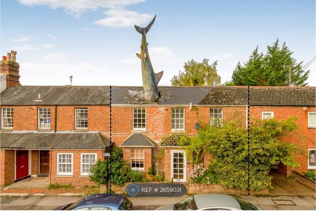 Front - The Dotted Lines Are The Boundary