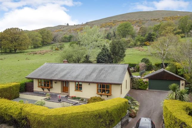 Thumbnail Bungalow for sale in Middletown, Welshpool, Powys
