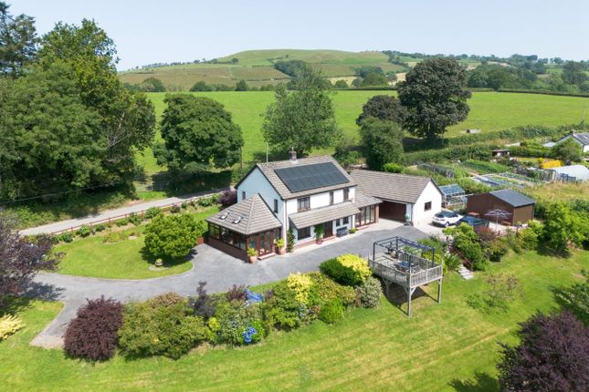 Ffynnon Morgan, Talsarn, Lampeter photo 2