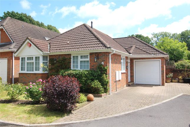 Thumbnail Bungalow for sale in Walnut Close, New Milton, Hampshire