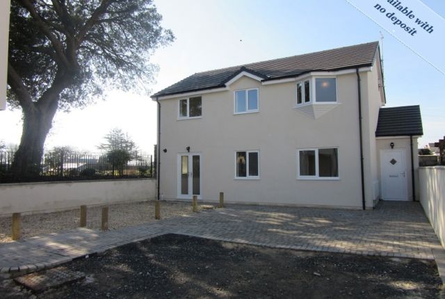 Front Picture
