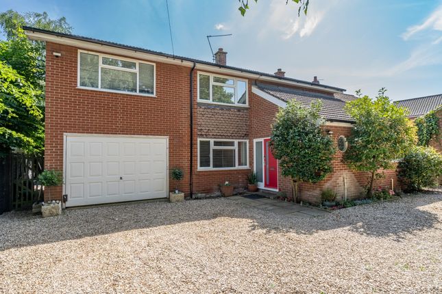 Thumbnail Detached house for sale in Dereham Road, Norwich, Norfolk