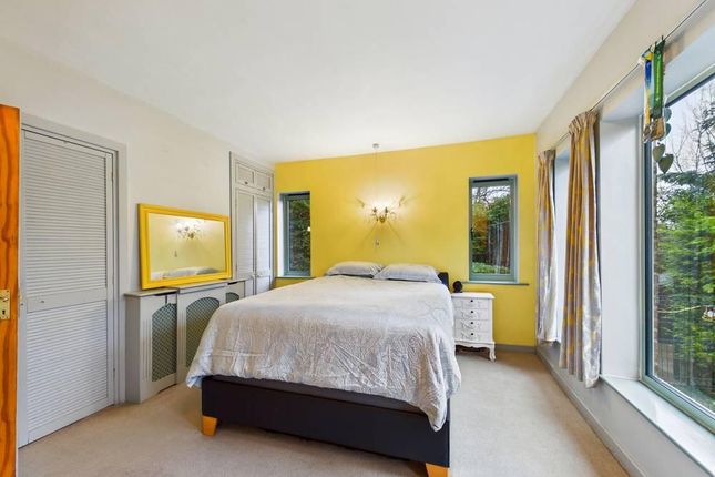 41 WALKERGATE photo 4