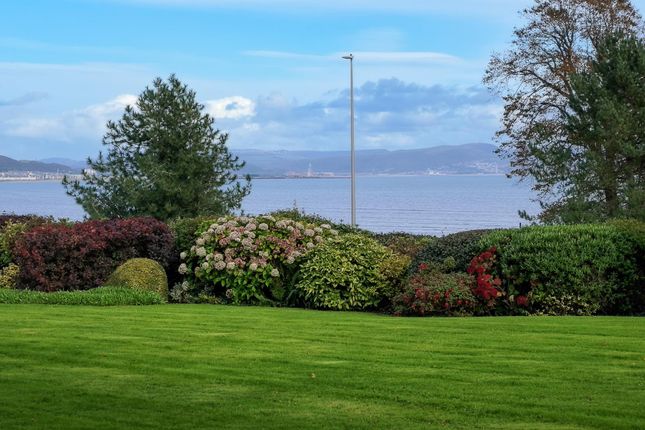 Huntington Close, Swansea photo 3