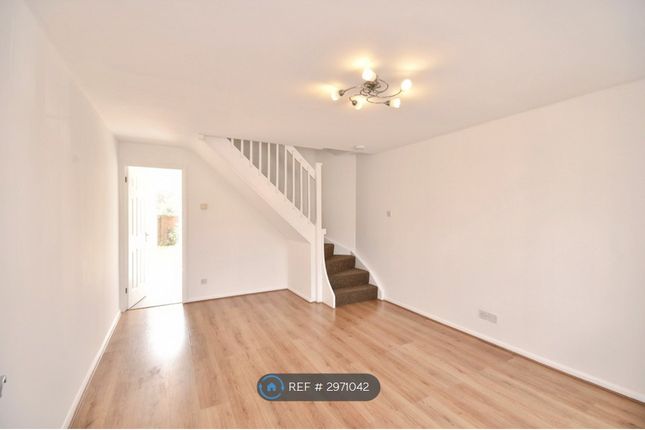 Acorn Grove, Cardiff photo 4