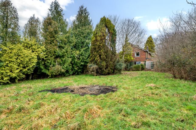 Land for sale in Boyneswood Lane, Medstead, Hampshire