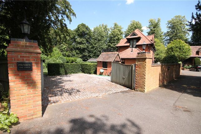 Thumbnail Detached house to rent in Ferry Lane, Wraysbury, Staines-Upon-Thames, Berkshire