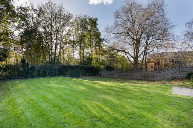 Prospect, Prospect Place, Wimbledon photo 2
