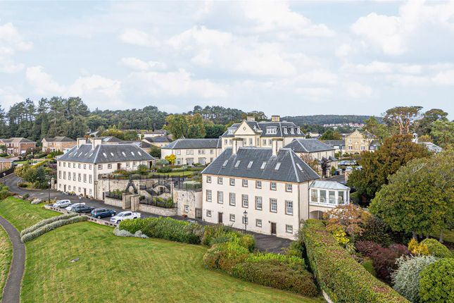 Untitled (1 Of 1).Jpg