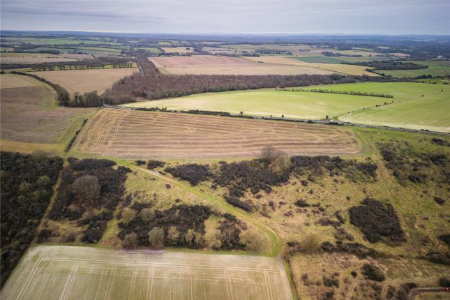 Land for sale in Chilcomb, Winchester, Hampshire