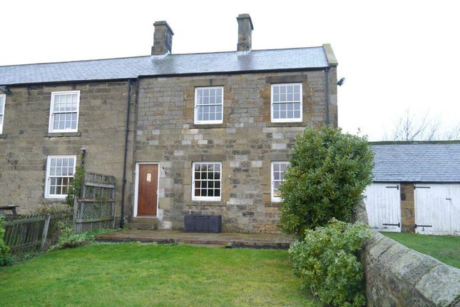 Semi-detached house to rent in Berwick Hill, Nr Ponteland, Newcastle Upon Tyne, Northumberland