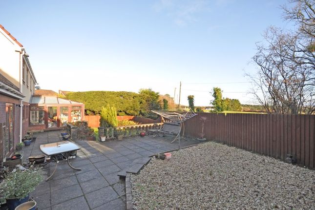 50, Bala Drive, Newport photo 3