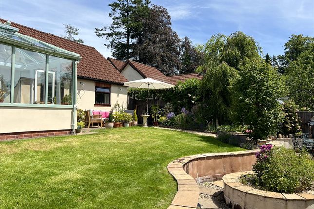 7, Great Meadow, Somerset photo 3