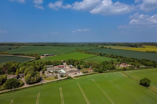 The Farm