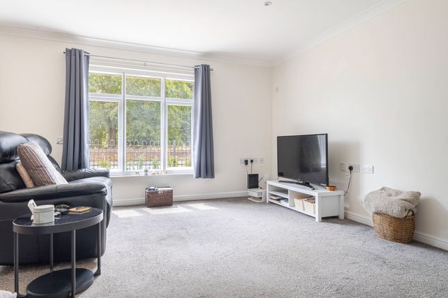 1 Poppy Place Rotterdam Road, Lowestoft photo 3