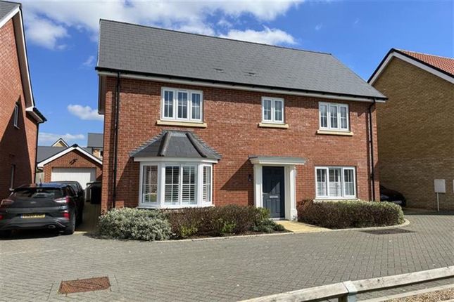 Thumbnail Detached house for sale in Crozier Drive, Cressing, Braintree