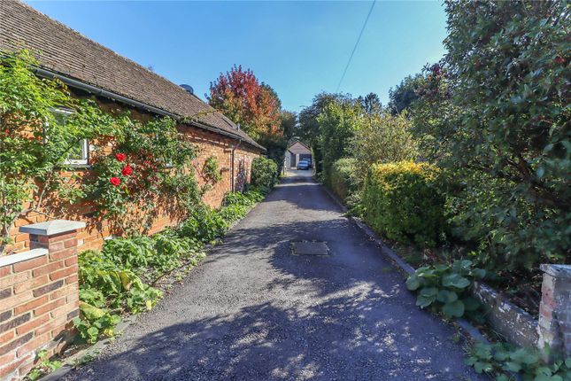 Winston,, Chilbolton, Hampshire photo 3