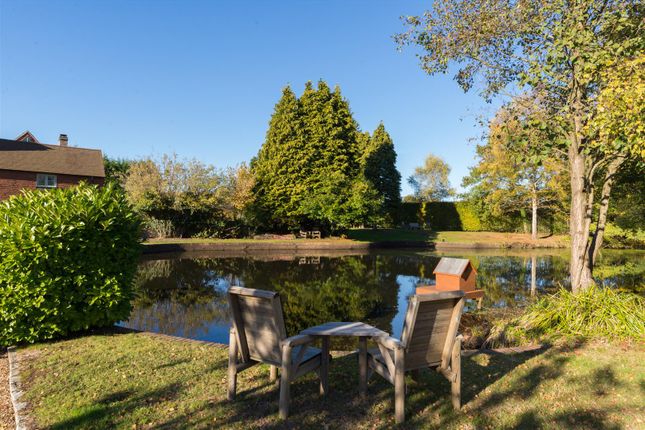 Barnet Farm, Norley Lane - Edited (16).Jpg