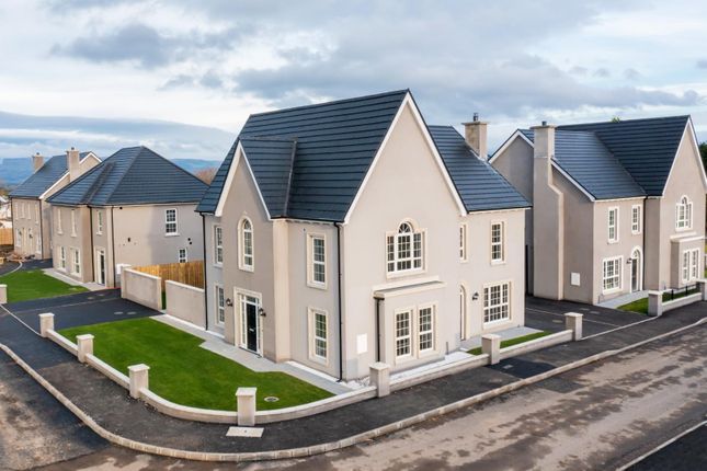 Thumbnail Semi-detached house for sale in Type D, Hollow Hills, Ballykelly, Limavady