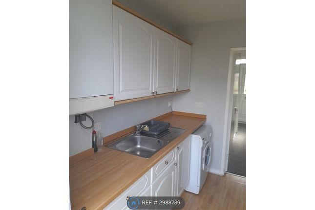 Gilbert Road, Sunderland photo 5
