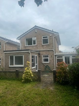 Thumbnail Detached house to rent in Gardenia Close, Cardiff