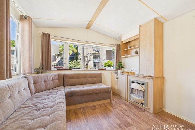 Coghurst Hall Holiday Park, Hastings photo 4