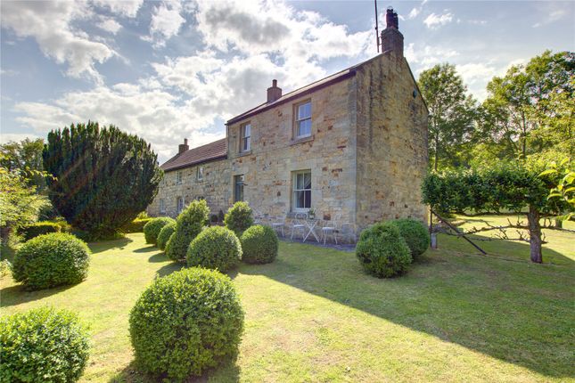Thumbnail Detached house for sale in Guyzance, Morpeth
