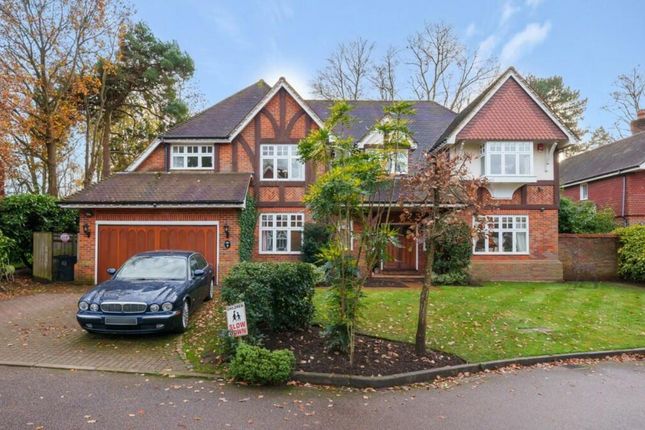 Thumbnail Detached house for sale in Courtney Place, Sandy Lane, Cobham, Surrey