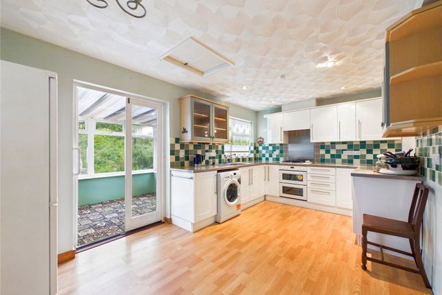 Honeyborough Grove, Milford Haven photo 4