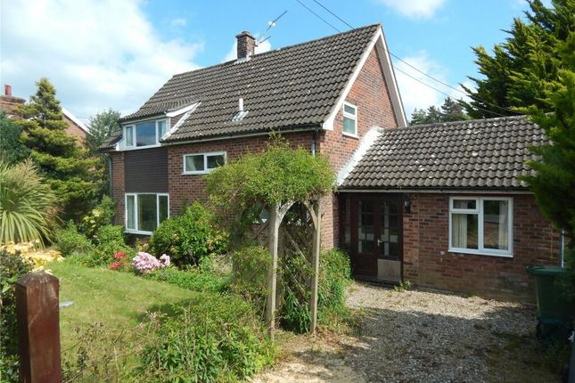 Thumbnail Detached house for sale in Pedham Road, Norwich