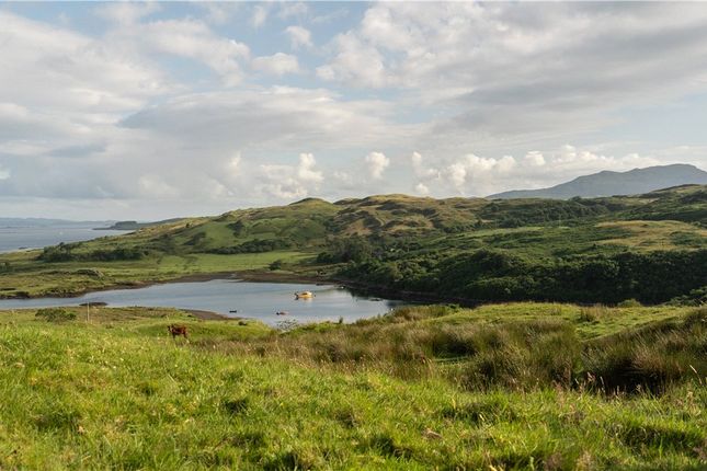 Land for sale in Torsa Island, Oban, Argyll