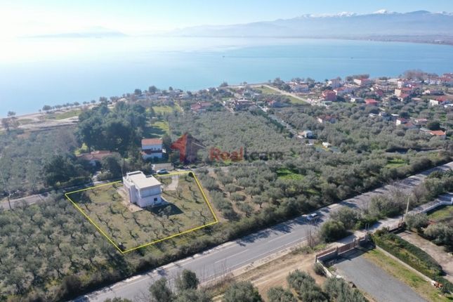Leisure/hospitality for sale in Nea Anchialos 374 00, Greece