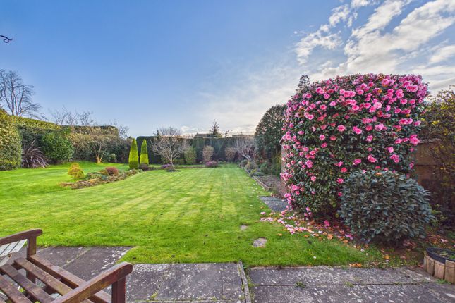 4 Hernes Nest, Bewdley photo 3