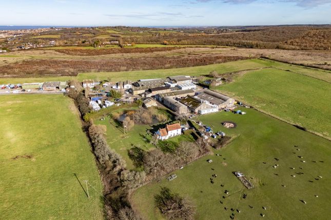 5-bed house on Lamberhurst Farm, Faversham, £4,995,000
