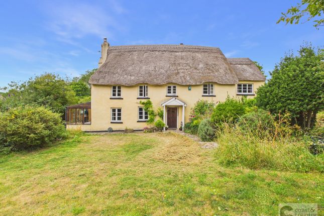 Torre Cottage, Newton Abbot photo 2