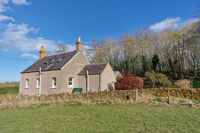 Thumbnail Detached house to rent in The Park Cottage, Cavers Carre, Melrose