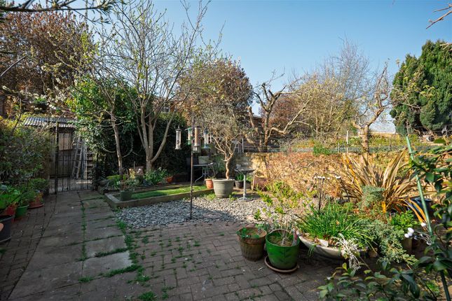 Back Garden