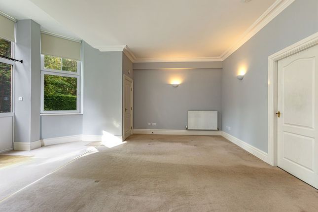 93, Dingleton Apts., Melrose photo 4